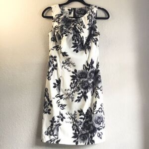 Dressbarn petite Size 4 knee length black roses classic dress